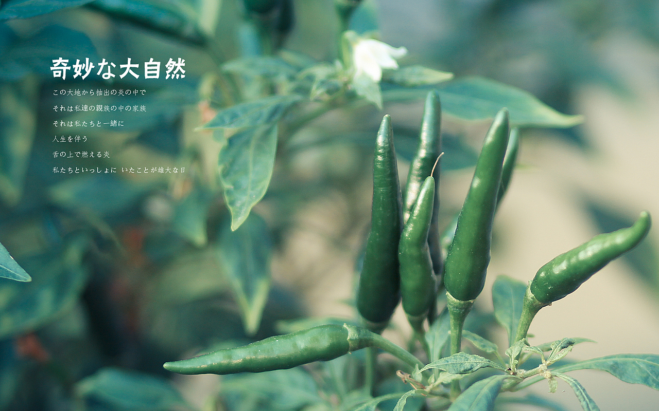 日出，日落，星空，夜。（上集）（图ZMTE3NzM0NDQ=） - 风光摄影 - 站酷设计师michaelpst原创素材 - 站酷ZCOOL