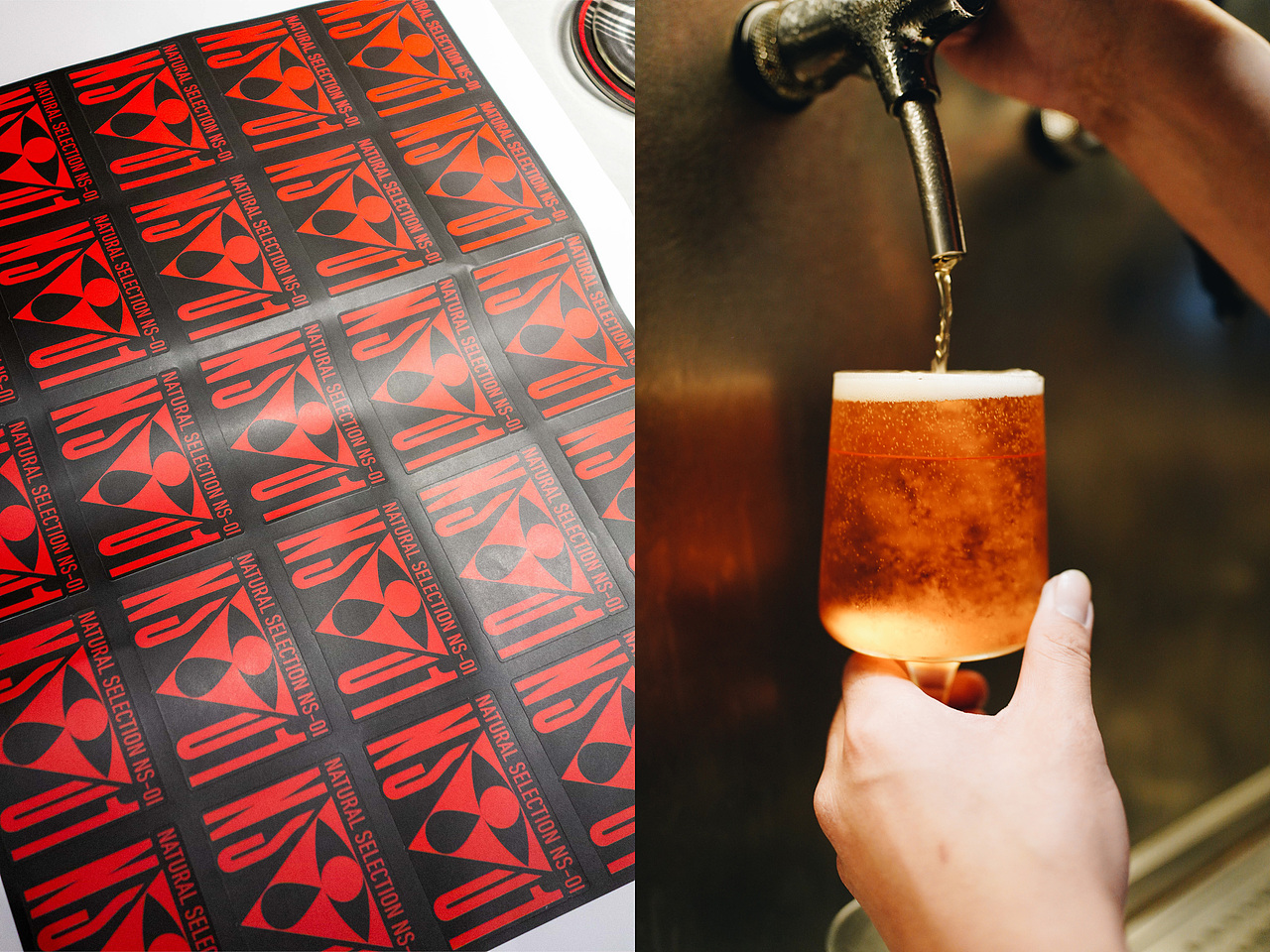 自然选择 精酿啤酒 一周年NATURAL SELECTION TAPROOM 