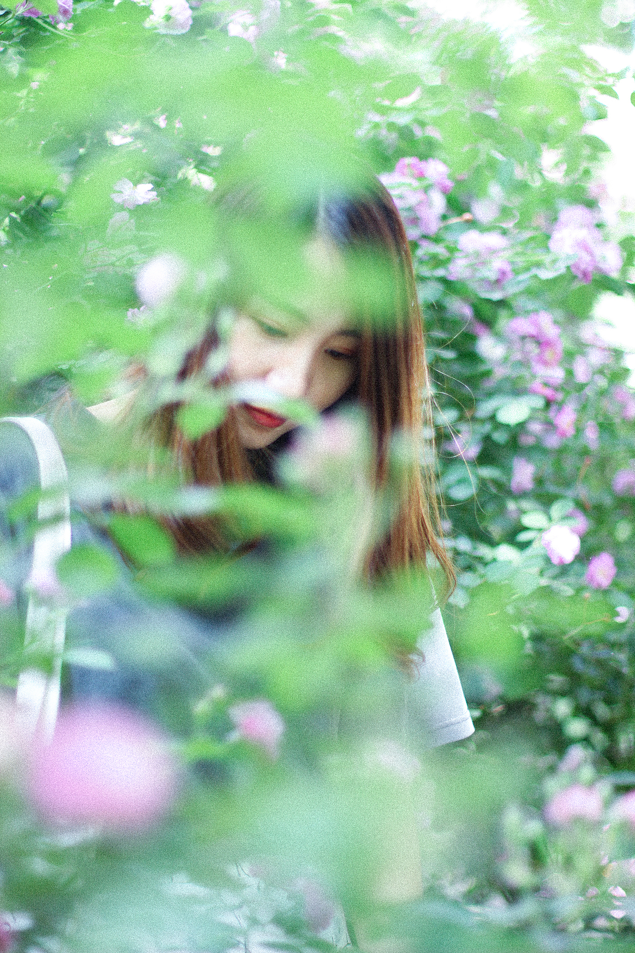 2018年5月份北京的蔷薇花和少女花花。（图ZMTE1MzE5ODY0） - 人像摄影 - 站酷设计师張鹿原创素材 - 站酷ZCOOL