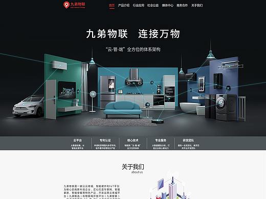 九弟物联网科技企业官网升级