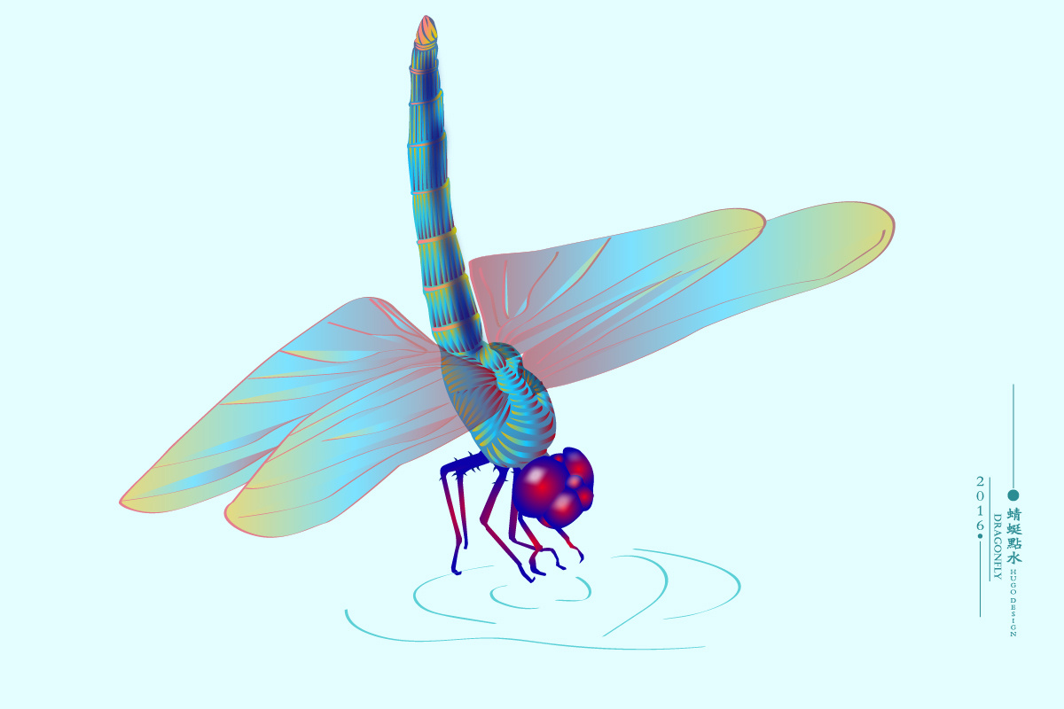 立体蜻蜓怎么画,蜻蜓怎么画简笔画 - 伤感说说吧