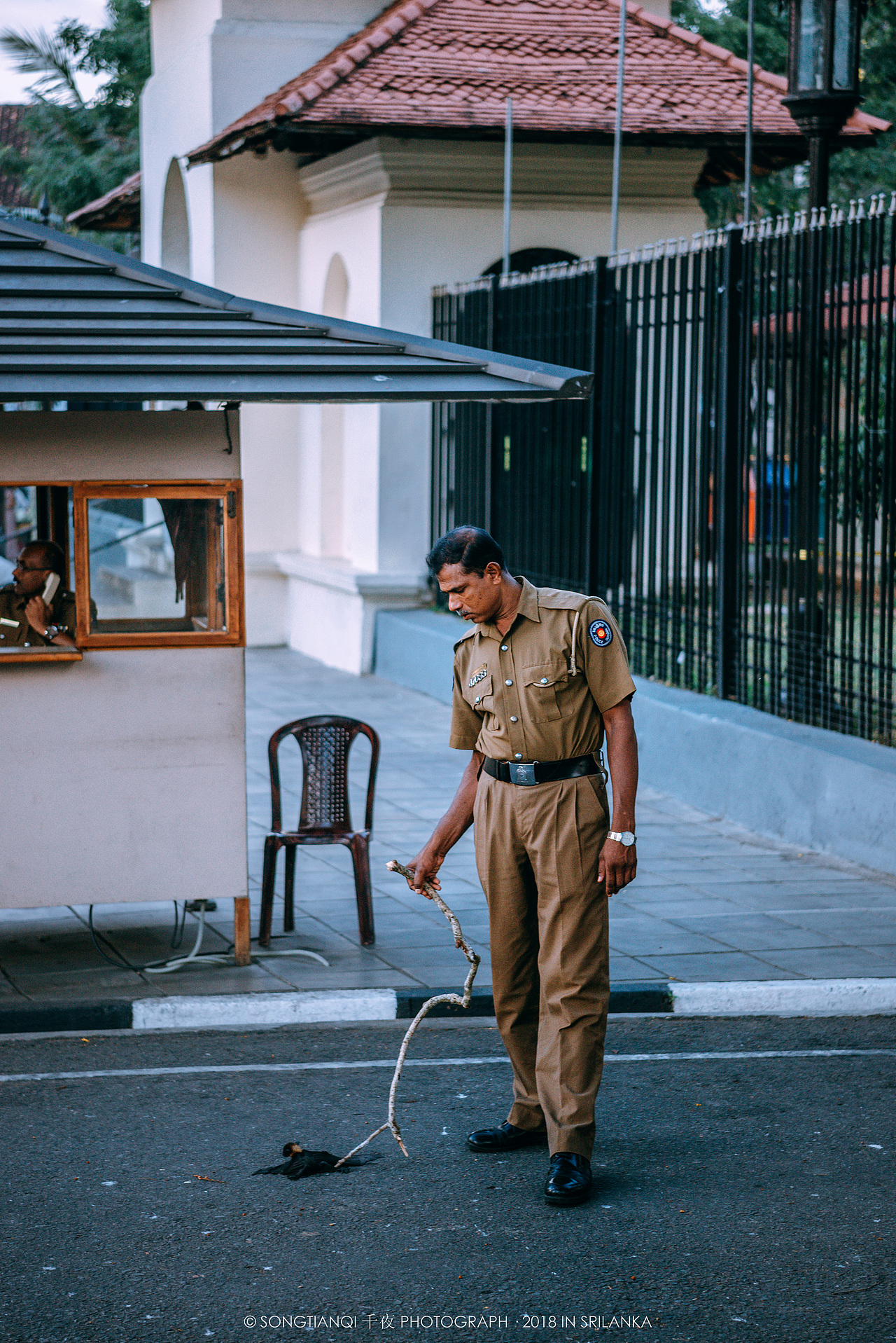 行走在印度洋上的眼泪——斯里兰卡°