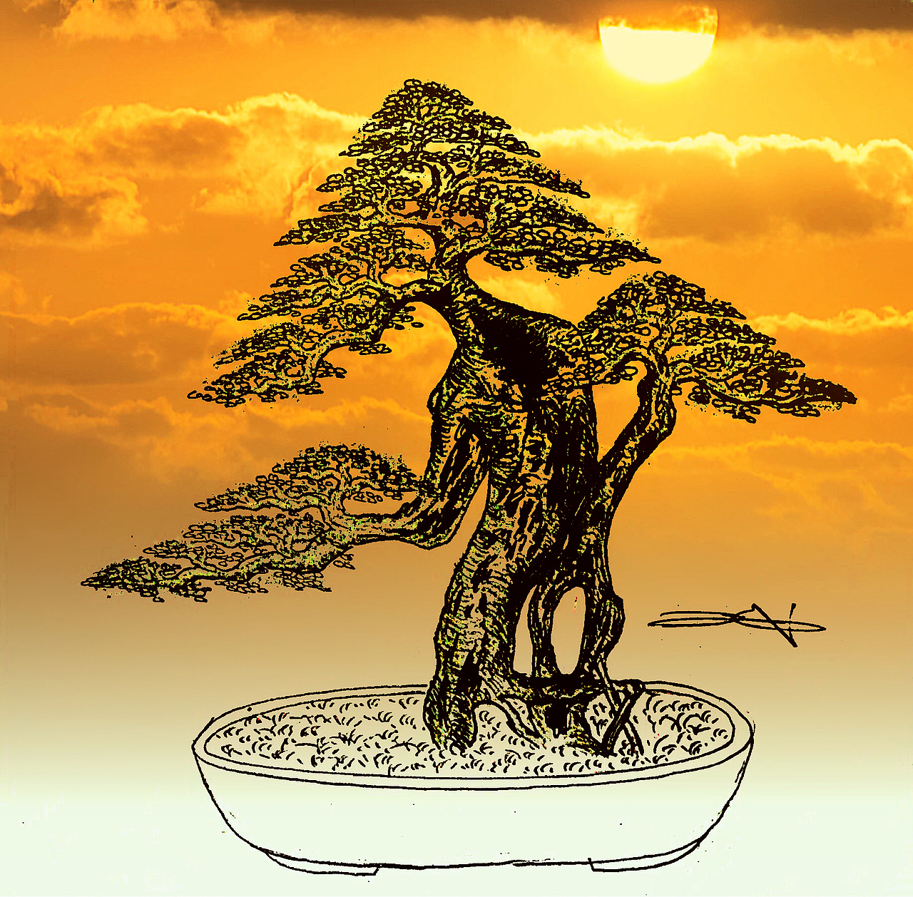 金弹子盆景设计效果图（图ZMTY2OTE4NTgw） - 绘画 - 站酷设计师慧武原创素材 - 站酷ZCOOL