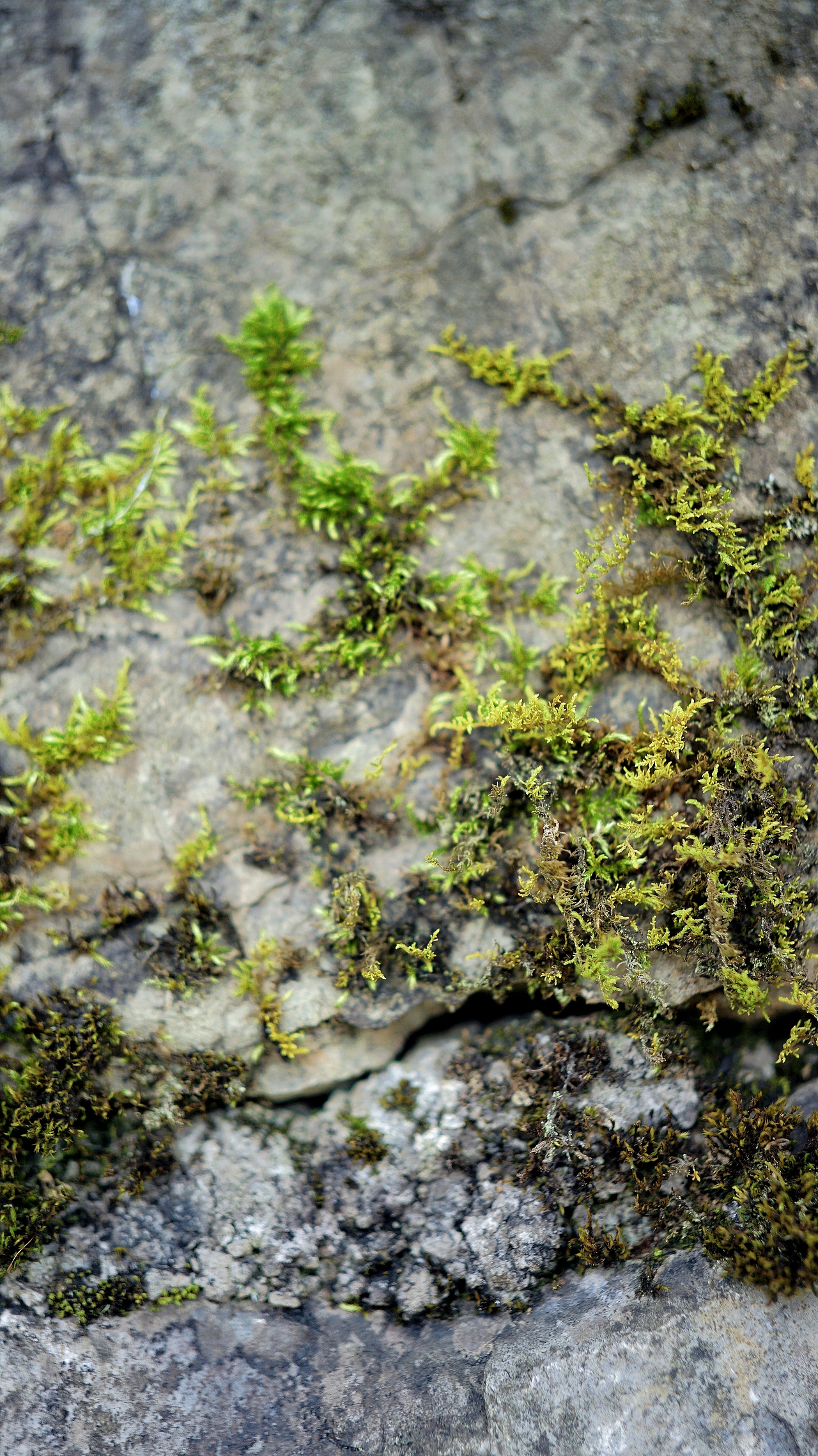 春风里 ~随处都是生机