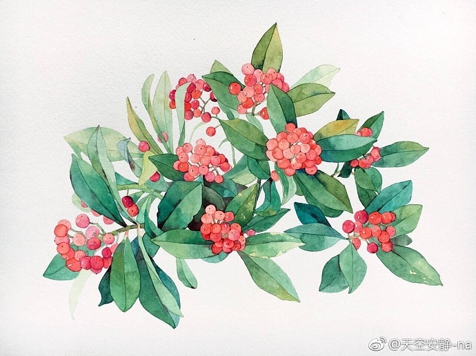花束集水彩（图ZMTE0OTY2ODI4） - 商业插画 - 站酷设计师天空安靜原创素材 - 站酷ZCOOL