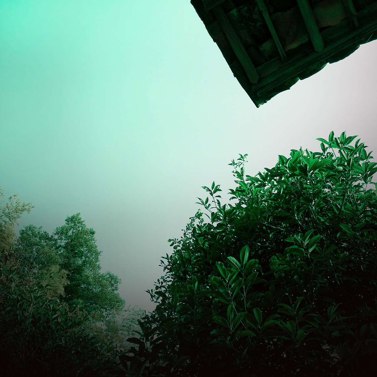 被忽视的自然美（图ZMTI0OTU3NzQ0） - 风光摄影 - 站酷设计师Jauver原创素材 - 站酷ZCOOL