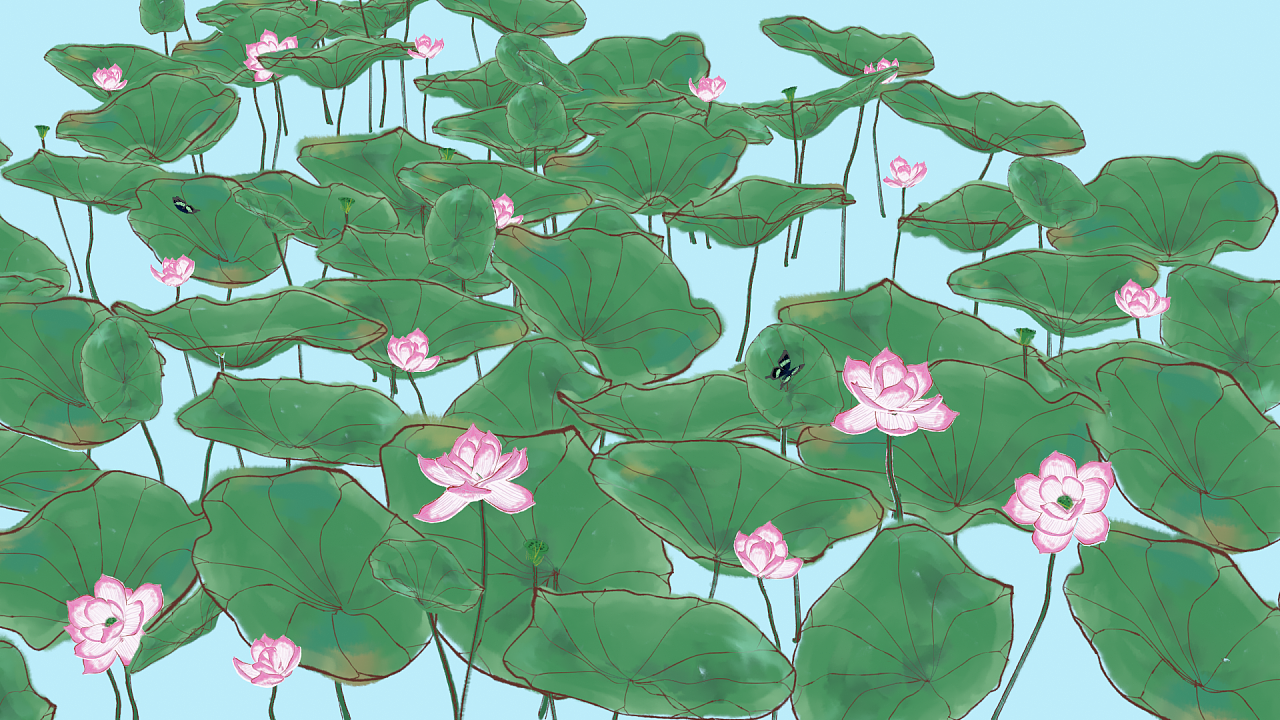 《无穷碧-仿水墨半工半写国风荷花图》|插画|创作习作|未wei老师