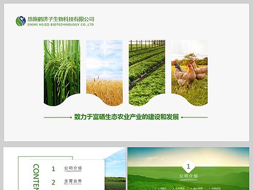 农业定制PPT