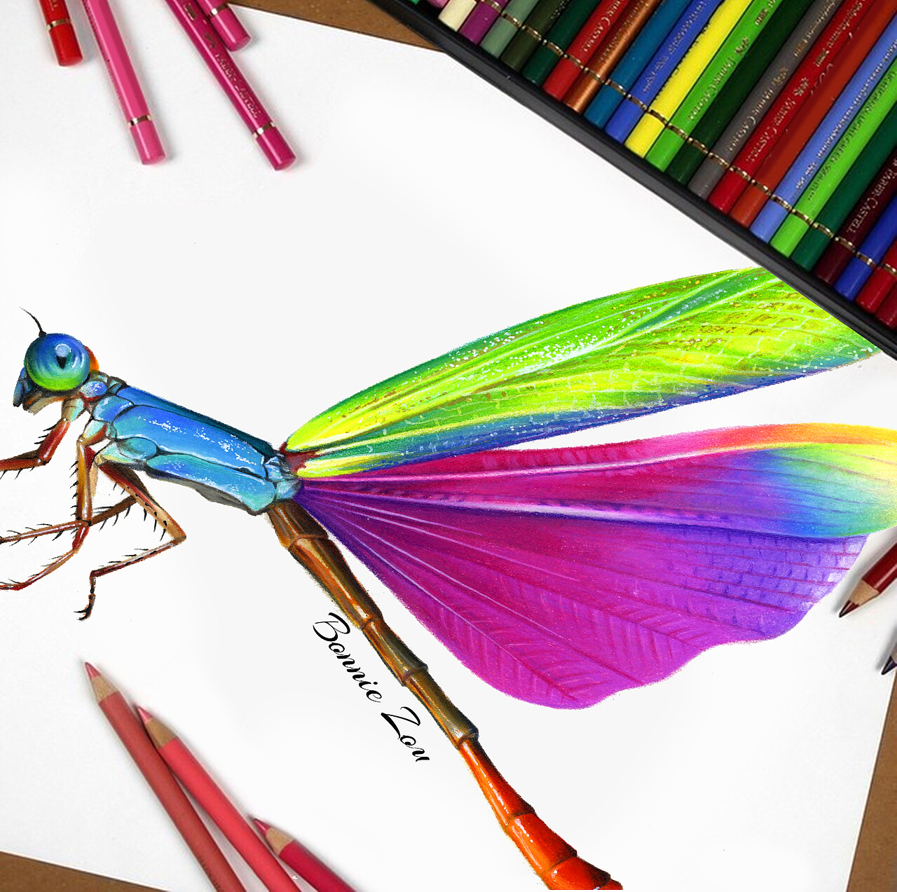 彩色蜻蜓——彩铅教程