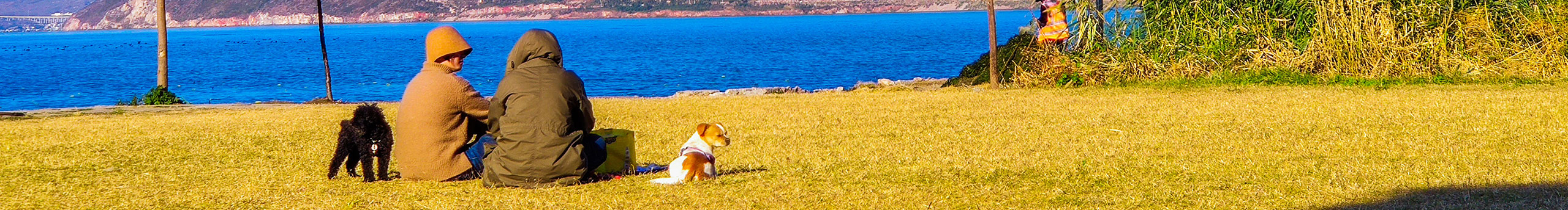 SODA映画的个人主页（封面预览） - 主页封面设置 - 站酷设计师SODA映画原创素材 - 站酷ZCOOL