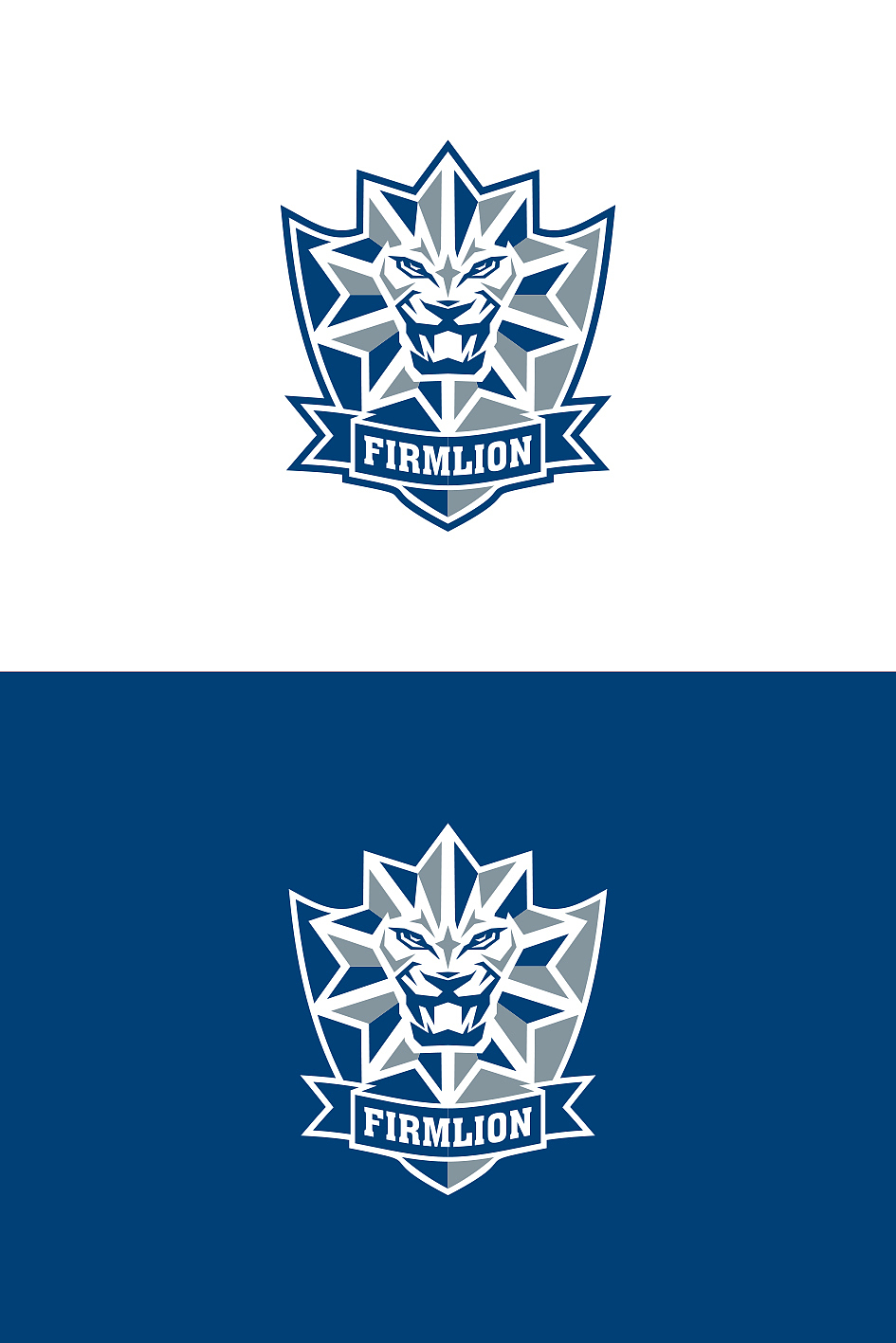 firmlion磐狮足球队队徽