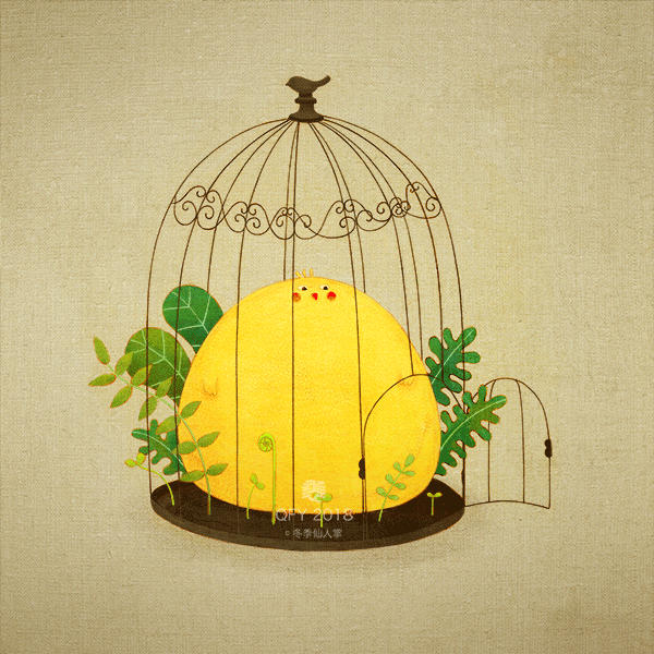 假如有一天,自由之门为你开启,那时的你又是否有力量走出去呢?