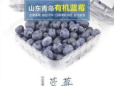 2015年 产品详情页