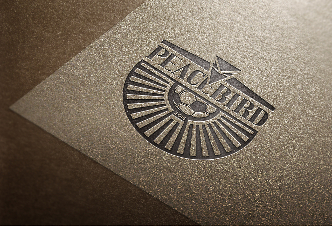 【J4】泰安太平鸟乐町T15足球俱乐部（图ZMTk1ODQ0NTAw） - 品牌 - 站酷设计师凤凰堂旧书店原创素材 - 站酷ZCOOL