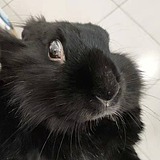 Kay_Lee的头像