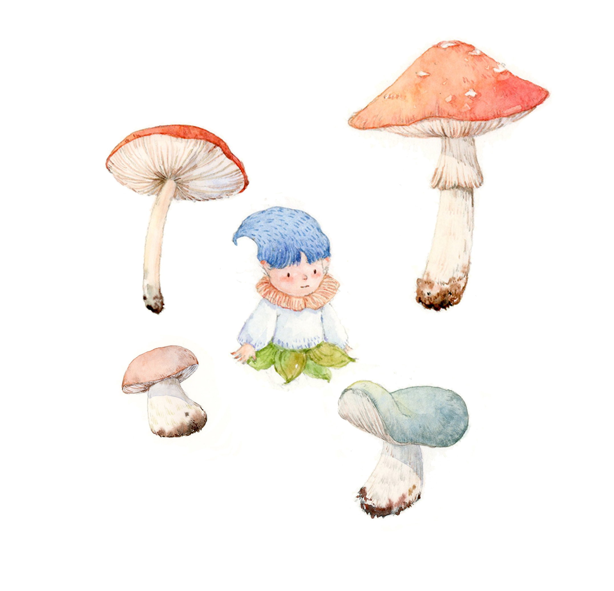 水彩插画-蘑菇君