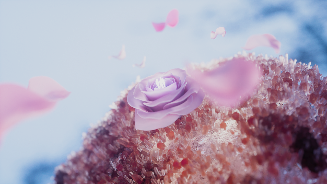 欧迪芬玫瑰纤维面料系列品牌宣传片（图ZMjcwNTU1NzA0） - 动画/影视 - 站酷设计师Rayta_Houdini原创素材 - 站酷ZCOOL