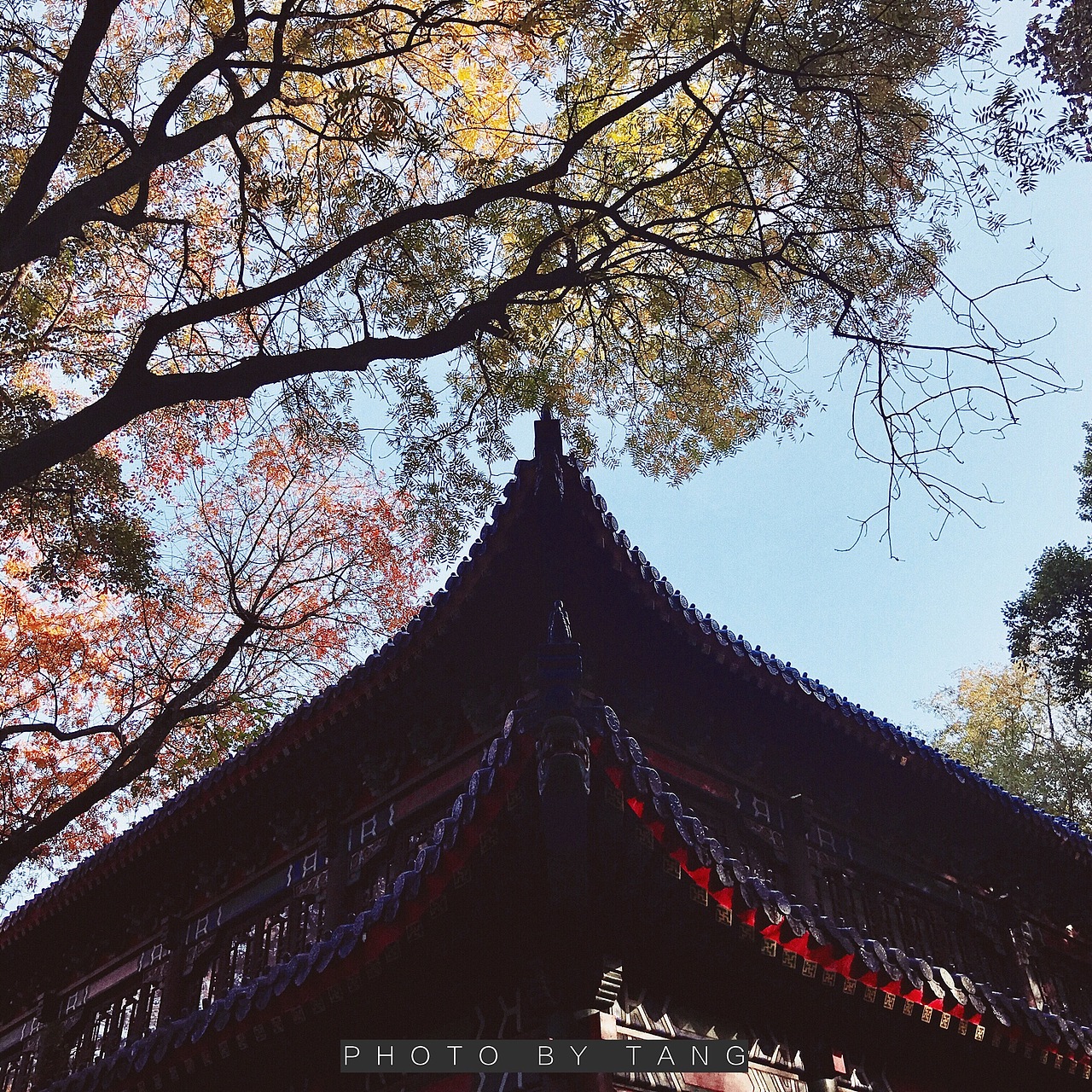 iPhone7plus 风景照片拍摄记录（图ZNjM1ODA2MzI=） - 风光摄影 - 站酷设计师twstc原创素材 - 站酷ZCOOL