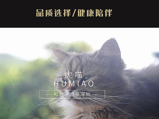 电商类app界面（个人主页-ZMjkwMDUwNTI=） - APP界面 - 站酷设计师阿Q在哪里原创素材 - 站酷ZCOOL