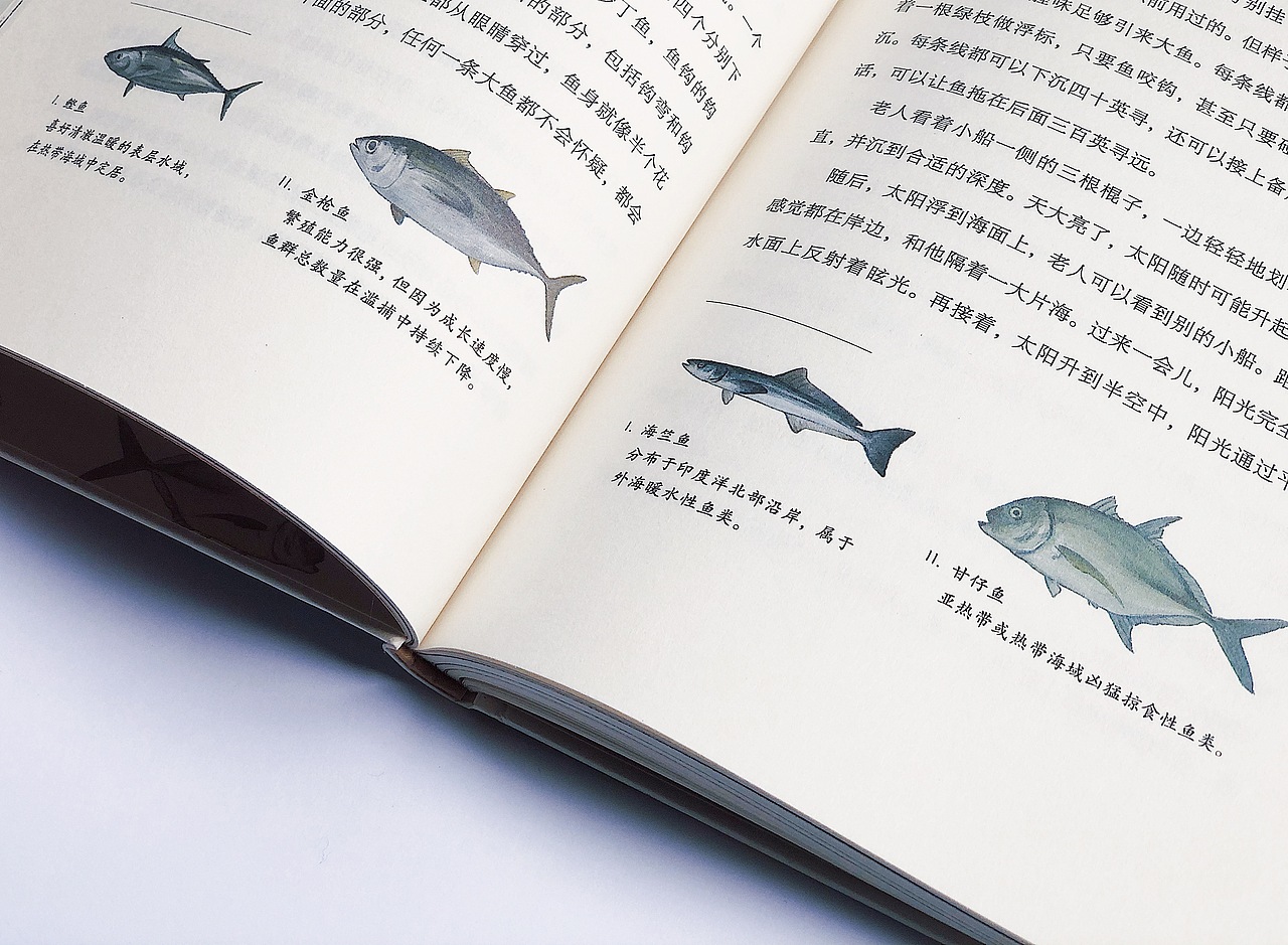 裝幀設(shè)計 | 老人與海（圖ZMjI1MTAzODg0） - 書籍/畫冊 - 站酷設(shè)計師是肖雯啊原創(chuàng)素材 - 站酷ZCOOL