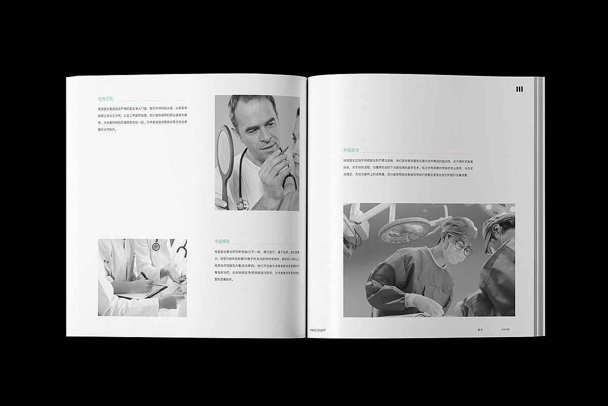 Face sculpt / 品牌画册