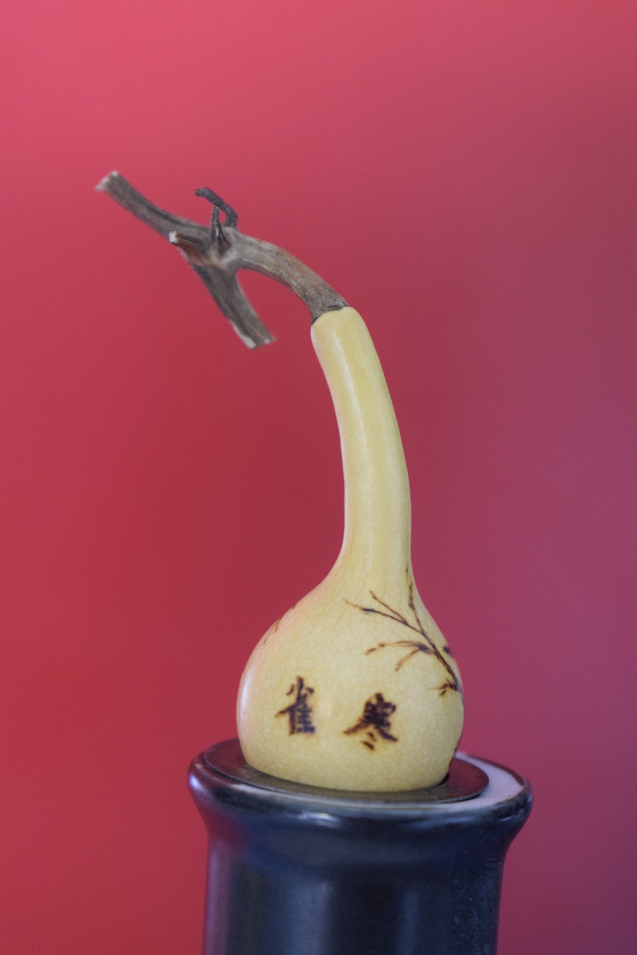 螳螂捕蝉，麻雀在后（图ZMjc3NDU3NzU2） - 其他手工艺 - 站酷设计师langmandahai原创素材 - 站酷ZCOOL