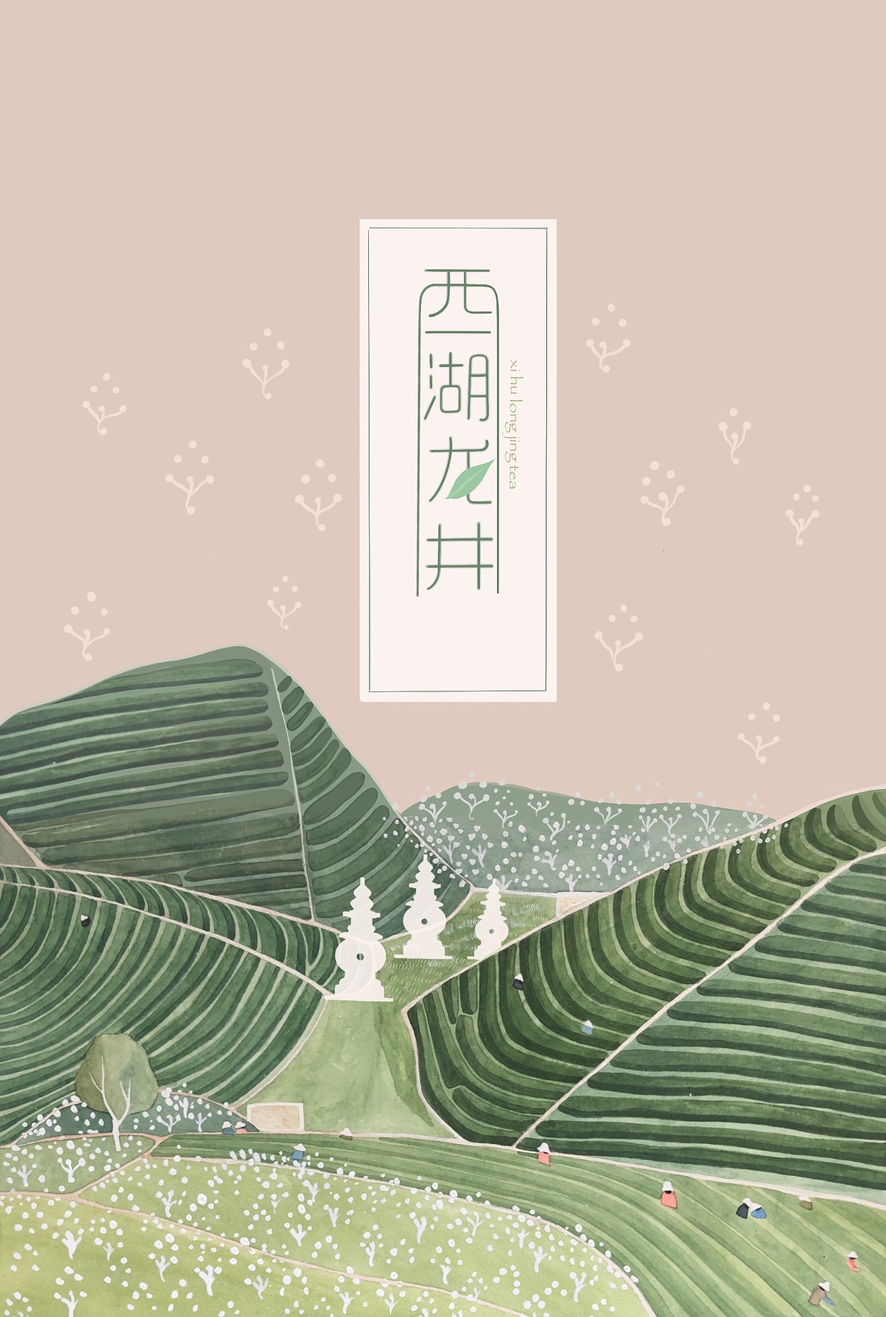 西湖龙井茶叶包装插画设计