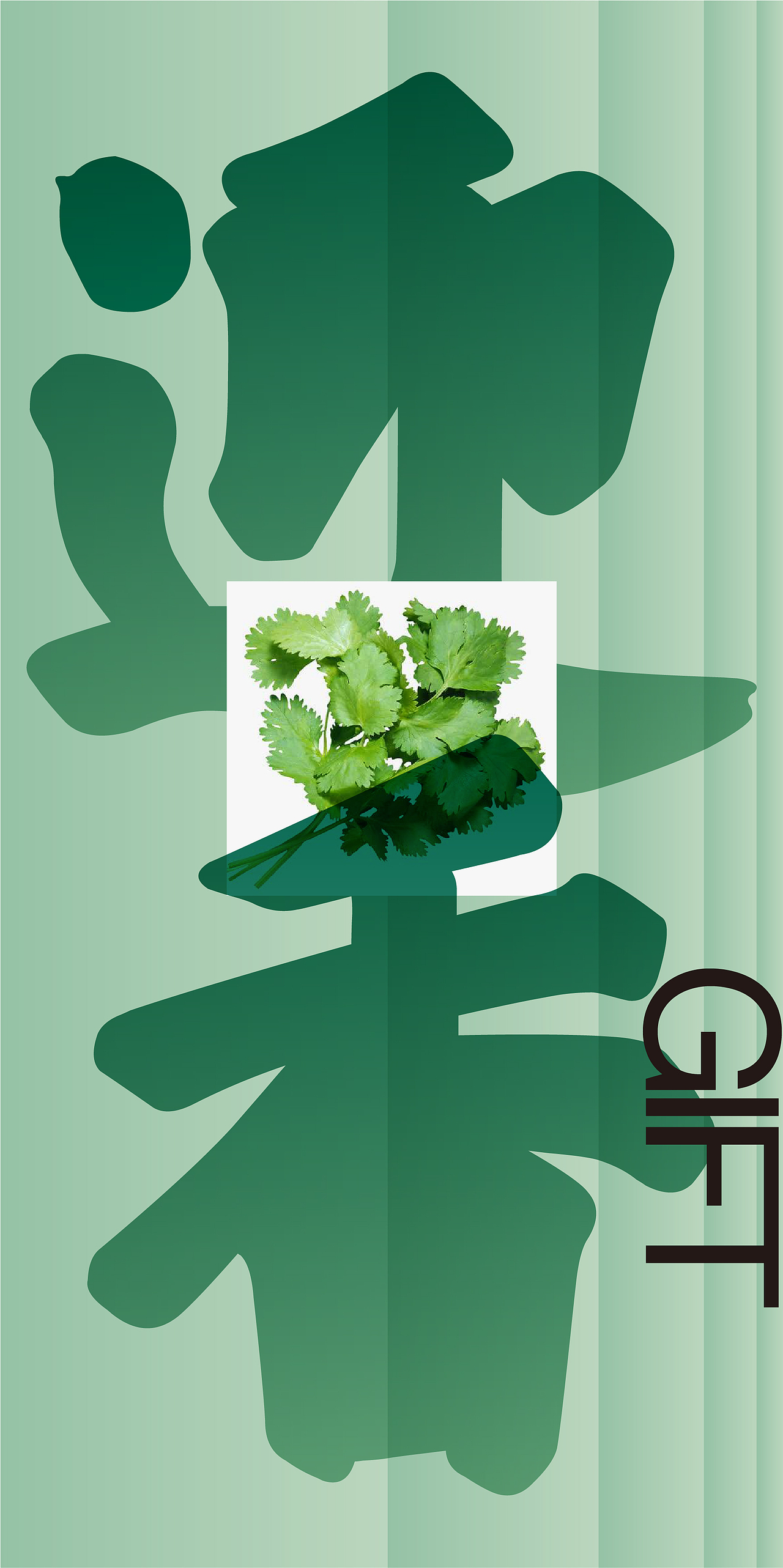 #2020青春答卷#  《珍宝隐于市》