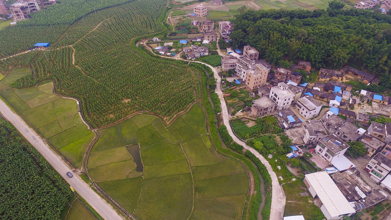 大伦镇平田垌乡村的感觉