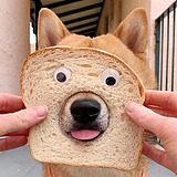 dubbbbb的头像