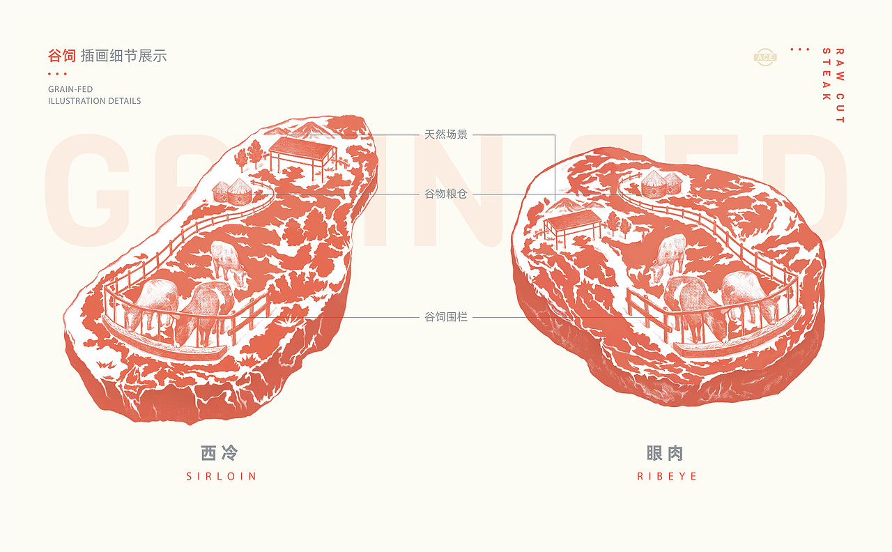 AceFamily牛排 品牌|包装设计（图ZMjIyNTYwNjAw） - 品牌 - 站酷设计师焙客设计原创素材 - 站酷ZCOOL