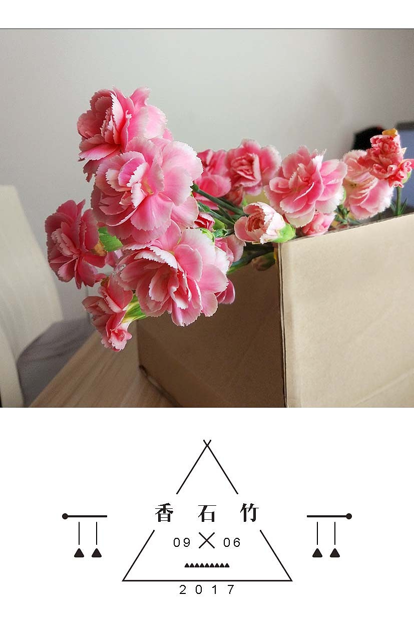 香石竹（图ZODE4NTAzNjA=） - 其他平面 - 站酷设计师啊啊啊阿宝原创素材 - 站酷ZCOOL