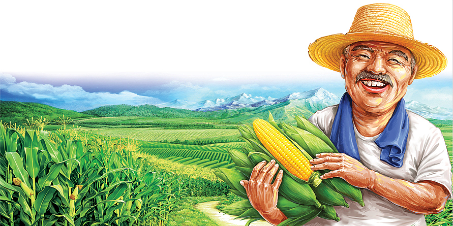 黄金穗悦 那头的玉米香