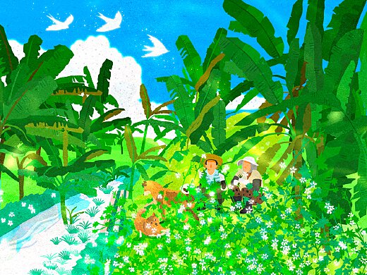 小鎮時光