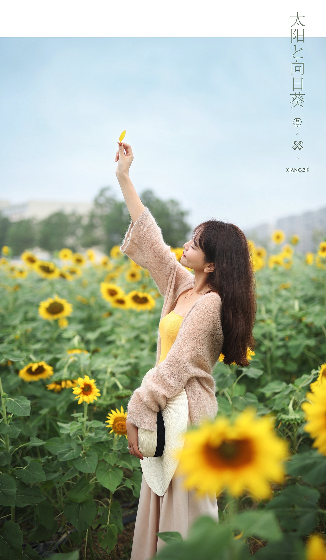 【翔子视觉】太阳的向日葵（图ZMjc0NjI1Njg0） - 人像摄影 - 站酷设计师杭州翔子原创素材 - 站酷ZCOOL
