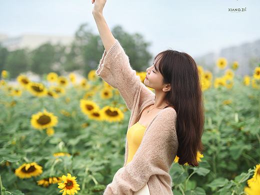 【翔子视觉】太阳的向日葵