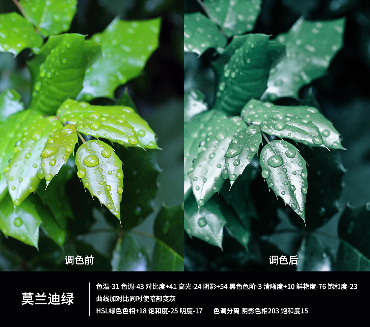 莫兰迪绿色（图ZMjAyNTIxNzcy） - 其他平面 - 站酷设计师设计石头stone1原创素材 - 站酷ZCOOL