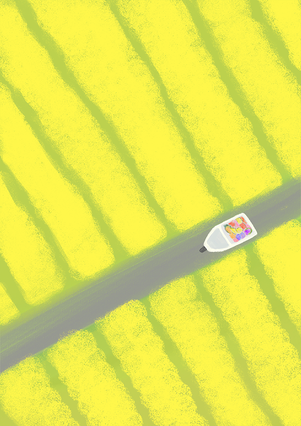 第五周出游（图ZMjUwNjUwNzky） - 创作习作 - 站酷设计师拾七七呀原创素材 - 站酷ZCOOL