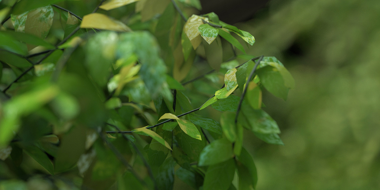 临摹 学习（图ZMjIzMzk1NzU2） - 其他三维 - 站酷设计师起早不贪黑原创素材 - 站酷ZCOOL