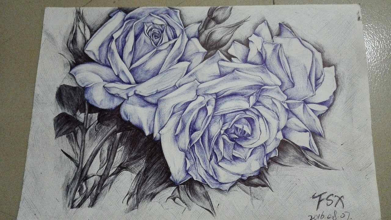 圆珠笔画—花儿