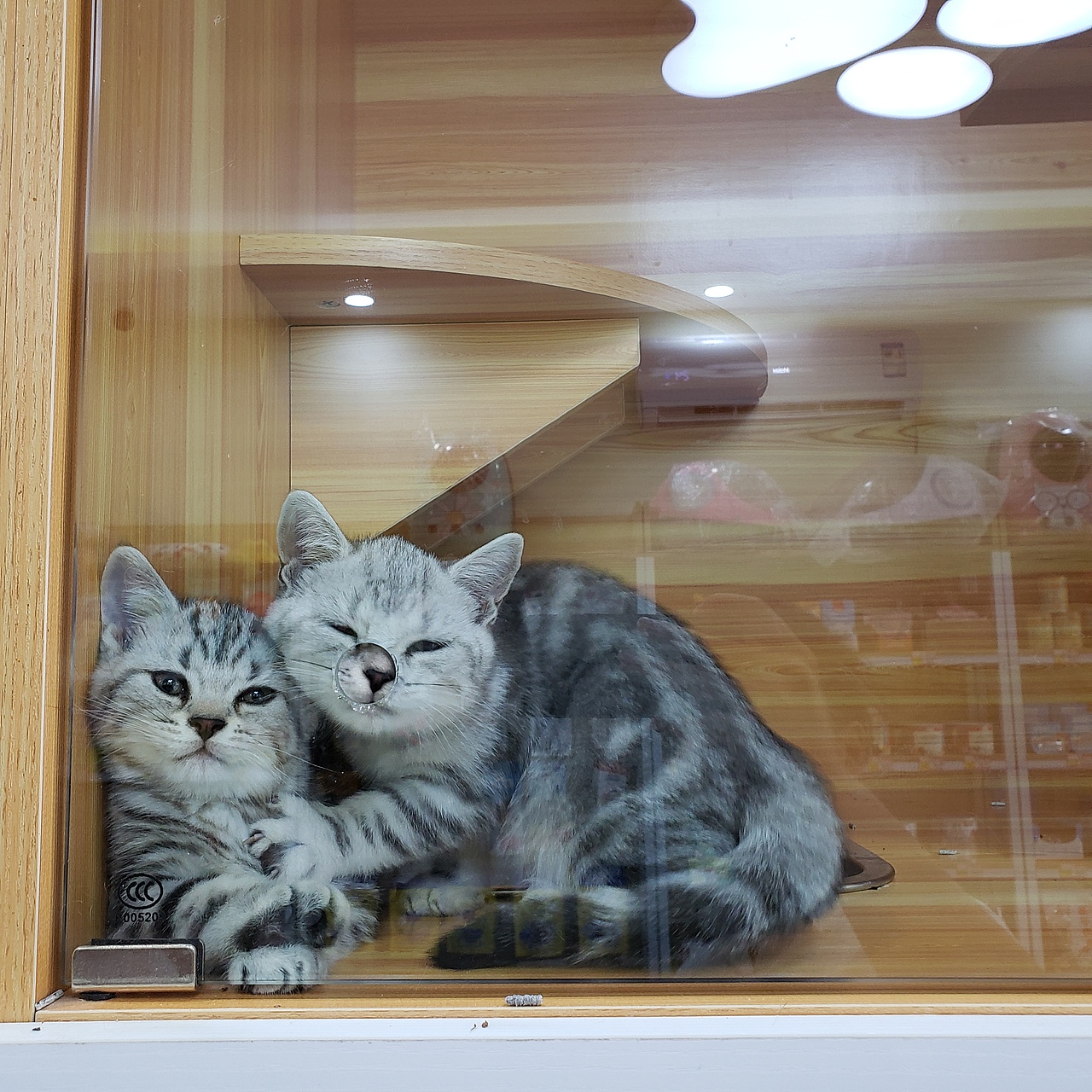 今天是。。26号（图ZMjIyMjM3ODQ4） - 其他 - 站酷设计师市隐原创素材 - 站酷ZCOOL