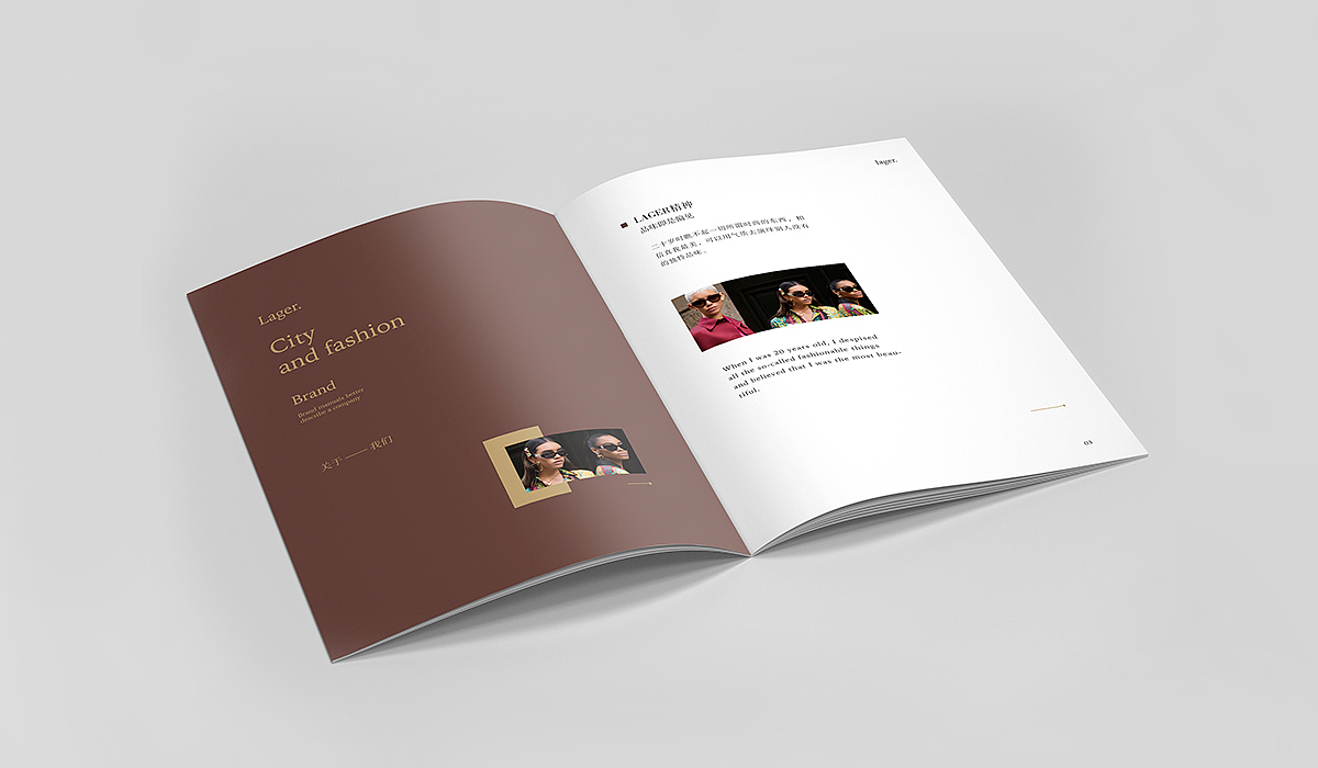 logo+画册 小结（图ZMTY3NzkwNTcy） - 品牌 - 站酷设计师勤劳的猪坚强原创素材 - 站酷ZCOOL