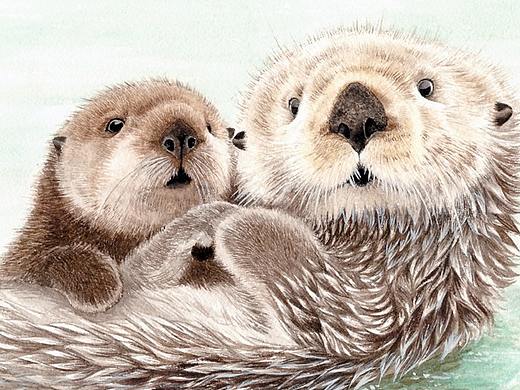 許寧水彩野生動物作品（個人主頁-ZMjg5Mzg1NDA=） - 藝術(shù)插畫 - 站酷設計師jane7841原創(chuàng)素材 - 站酷ZCOOL