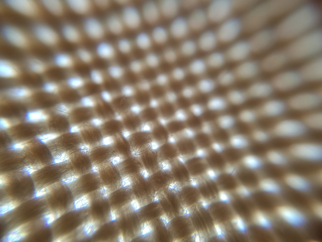 微距摄影作品集（图ZMTI5NzAyNDg4） - 风光摄影 - 站酷设计师YuanxuanLI原创素材 - 站酷ZCOOL