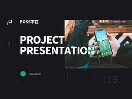项目视觉展示