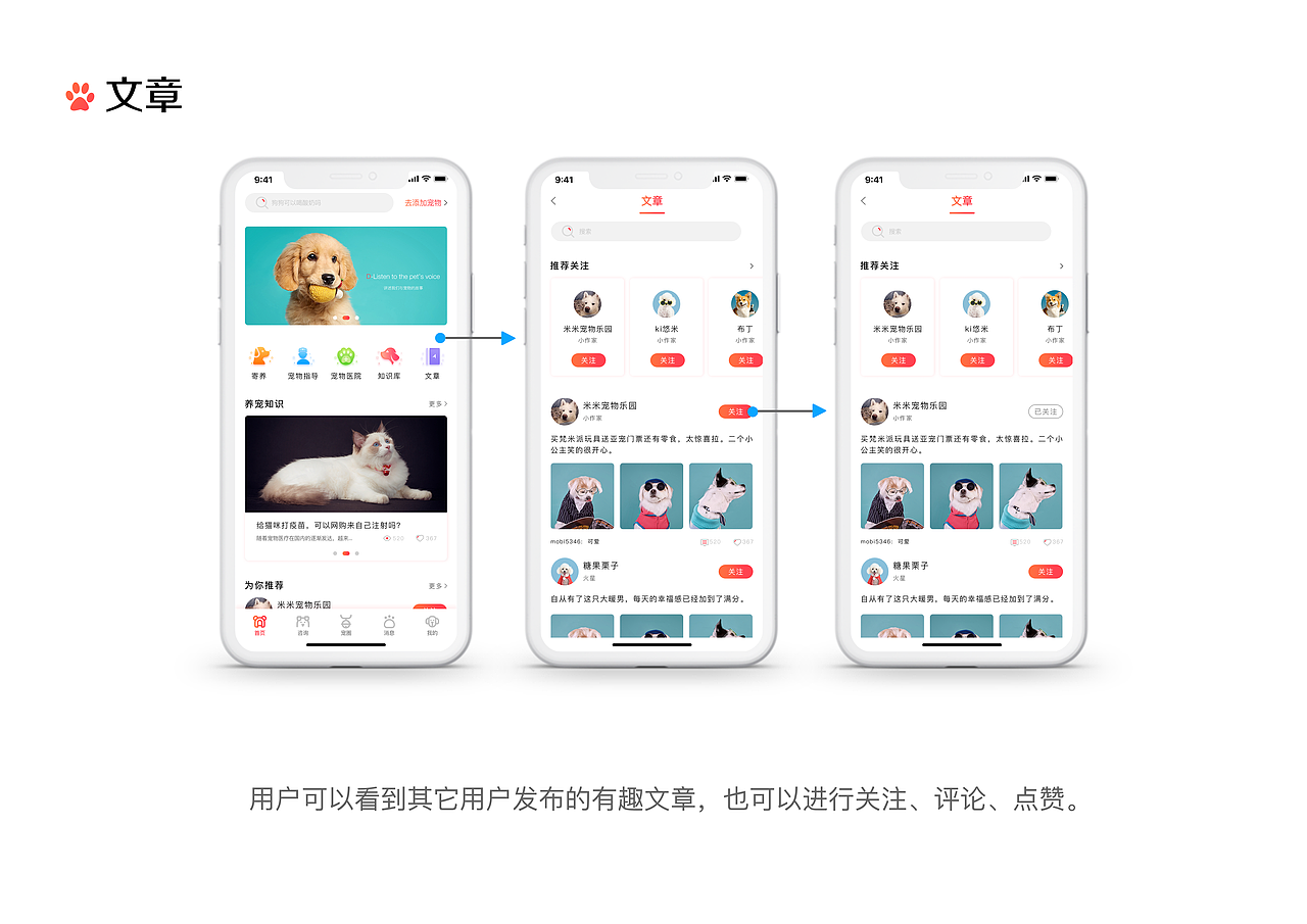 宠物寄养类APP
