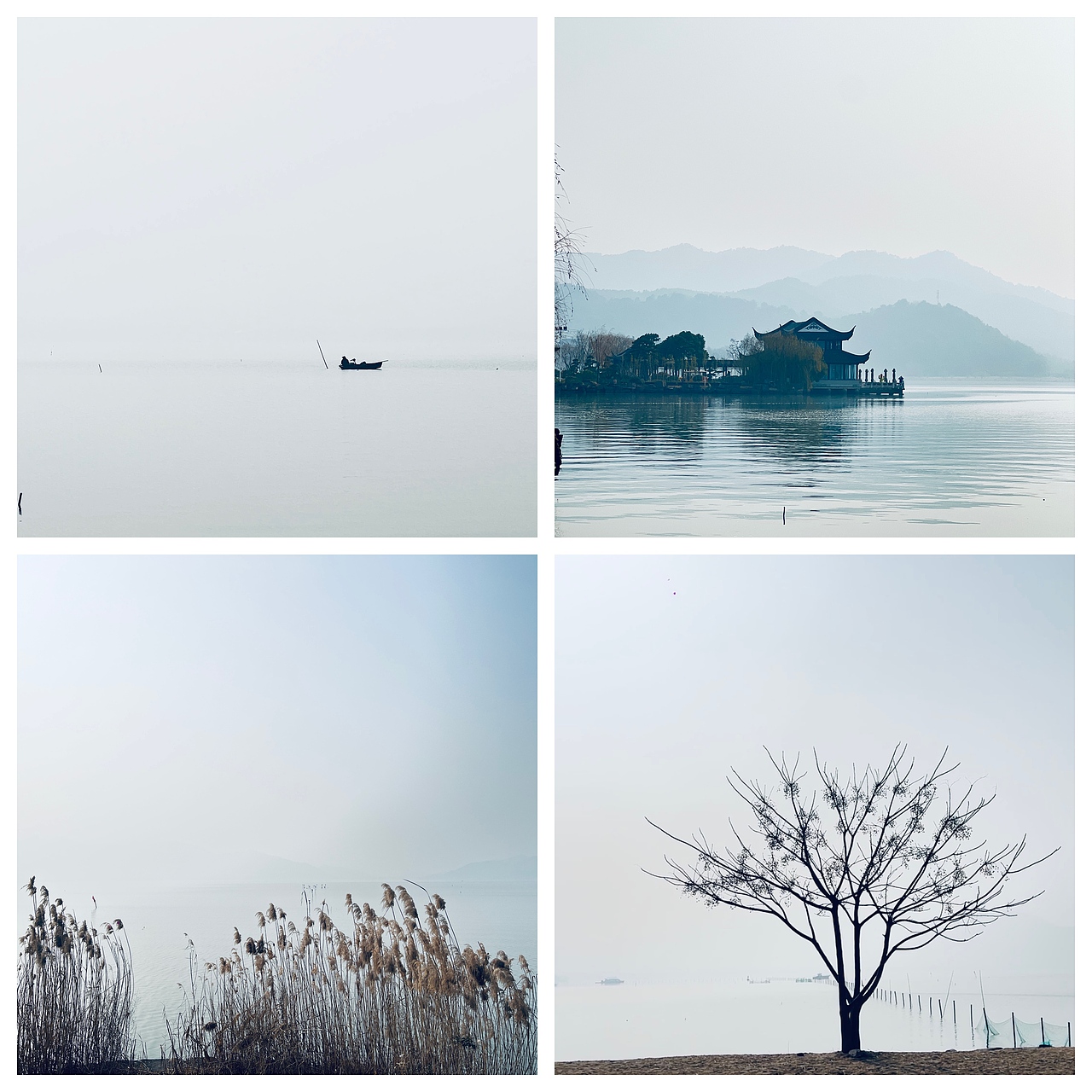 原相机随手拍（图ZMzU5Mzg0OTky） - 风光摄影 - 站酷设计师白桃苏打水原创素材 - 站酷ZCOOL