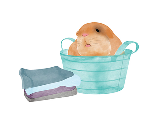 动物插画之仓鼠