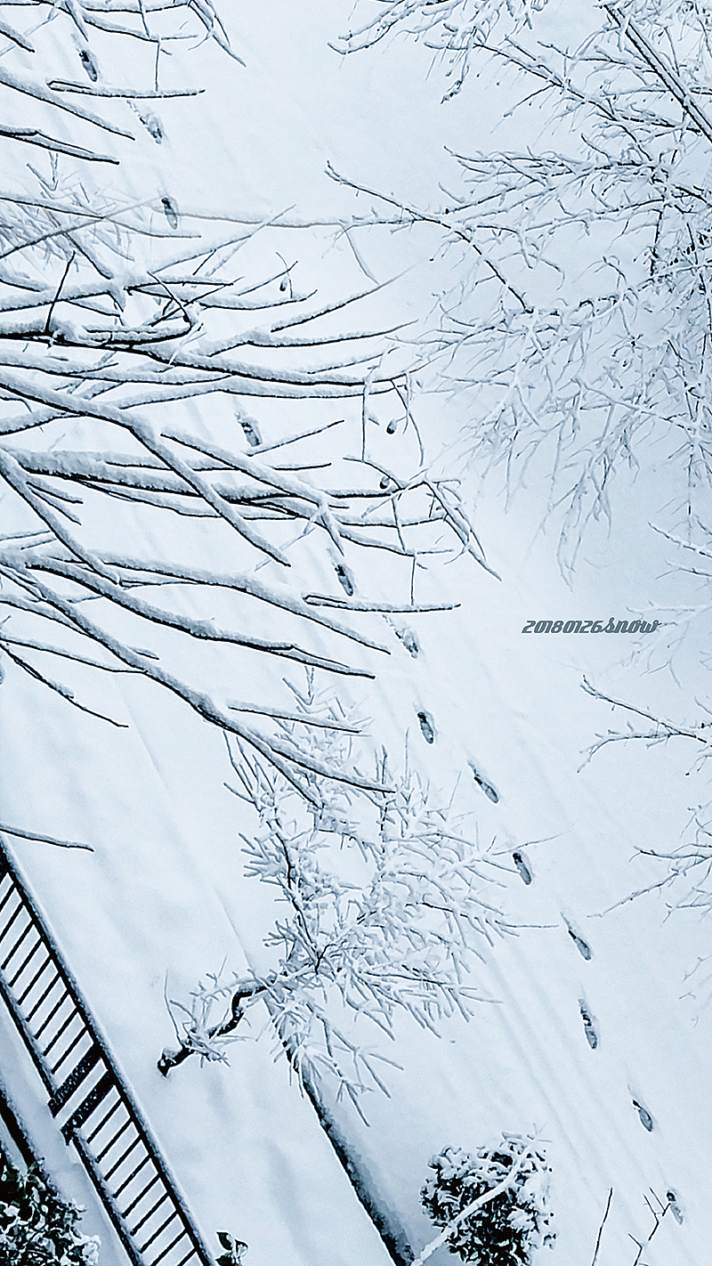 2018杭州初雪 手机屏保（图ZMTA2ODE2NTg0） - 风光摄影 - 站酷设计师JustLoulou原创素材 - 站酷ZCOOL