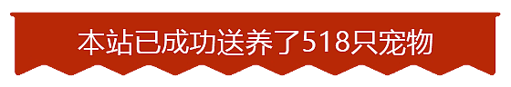 微信小程序（图ZMTUwMzI4ODU2） - 其他UI - 站酷设计师UI设计师浪人原创素材 - 站酷ZCOOL